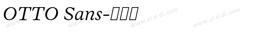 OTTO Sans字体转换